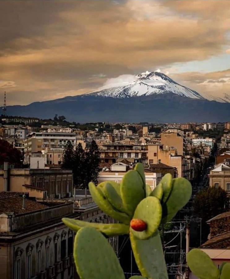 Catania Apartment Borgo Suite Autonomous Buitenkant foto